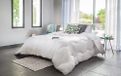 Blanrêve Dekbed Aerelle Blue – ultrazacht – pluizig en comfortabel – voor tweepersoonsbed – milieuvriendelijk – de comfortvezel die goed doet aan de oceanen – gemaakt in Frankrijk – 260 x 240 cm