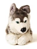 Uni-Toys Husky grijs, liggend - 43 cm pluche hond