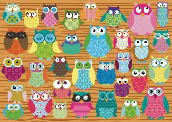 Schmidt Owls 500 pcs - Puzzels