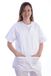 GiMA Tunika, katoen/polyester, unisex, voor verpleegsters, therapeuten, beauty, gezondheid care, nail, SPA Limo, Medium, wit, 1