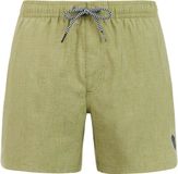 Protest Davey Zwemshort Heren Fern Green 3XL
