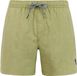 Protest Davey Zwemshort Heren Fern Green 3XL