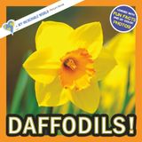 Daffodils!: A My Incredible World Picture Book for Children