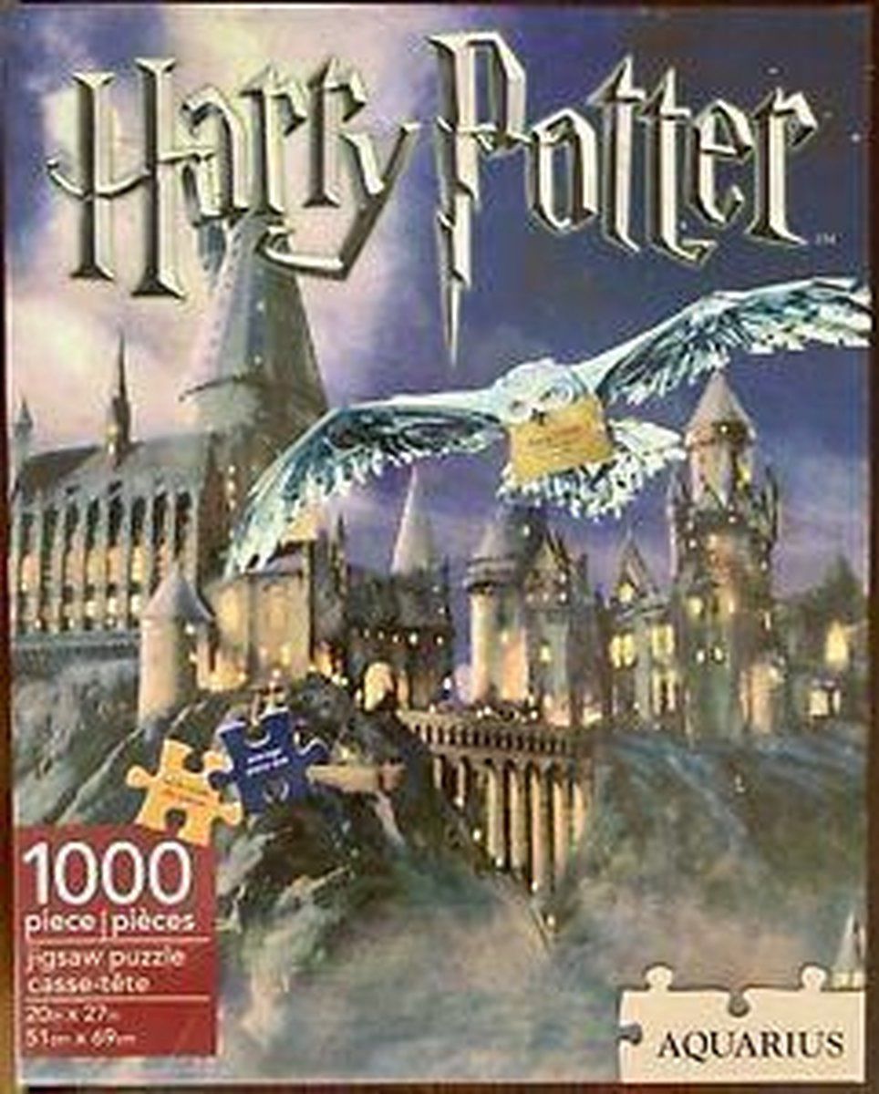 Aquarius HARRY POTTER - Hogwarts - Puzzle 1000P - 0840391106505