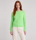Bellerose BW262916 K1014U Jersey Datti62 groen (L)