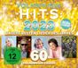 Volksmusik Various Artists - Volksmusik Hits 2023