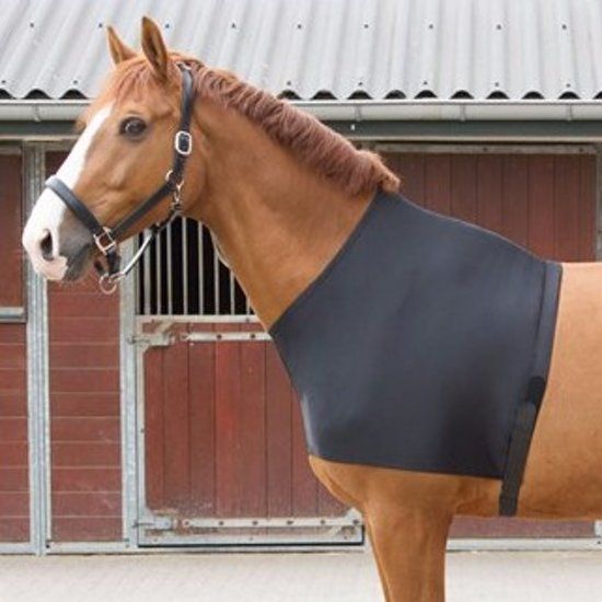 QHP Borstbeschermer Lycra - Black - L