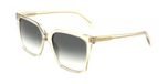 Ferragamo SF2102S Transparent sauge 57/16/145 Lunettes de soleil femme