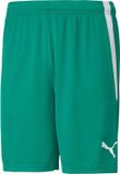 PUMA teamLIGA Short Junior Sportbroek Unisex - Maat 140 - Groen