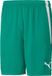 PUMA teamLIGA Short Junior Sportbroek Unisex - Maat 140 - Groen