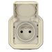 stopcontact Legrand Plexo 069776L stopcontact - 2p+t - beige - opbouw