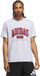 Adidas Performance Collegiate Graphic T-Shirt - Heren - Grijs