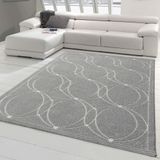 Teppich-Traum Oosterse tapijt met subtiele ornamenten | Geschikt voor binnen- en buitengebruik | grijs | Afmetingen: 120x170 cm