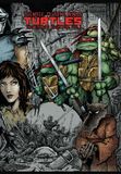 TMNT Teenage Mutant Ninja Turtles Teenage Mutant Ninja Turtles: The Last Ronin Paperback 07 november 2017