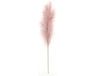 Buitengewoon Boet Buitengewoon de Boet Pampas Gras 60 cm Roze kunstplant