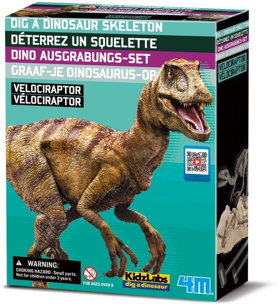 4M Graaf Je Dino Op - Velociraptor - Opgraafkit En Modelbouw Skelet - KidzLabs - 8 Jaar