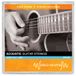 World Rhythm Akoestische Gitaarsnaren Light .011-.052