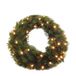 Triumph Tree Forest Frosted Illuminated Christmas Wreath (ø45 cm)