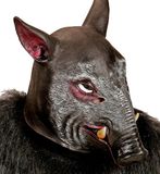 Widmann Cartoony Masker, Mannetjesvarken