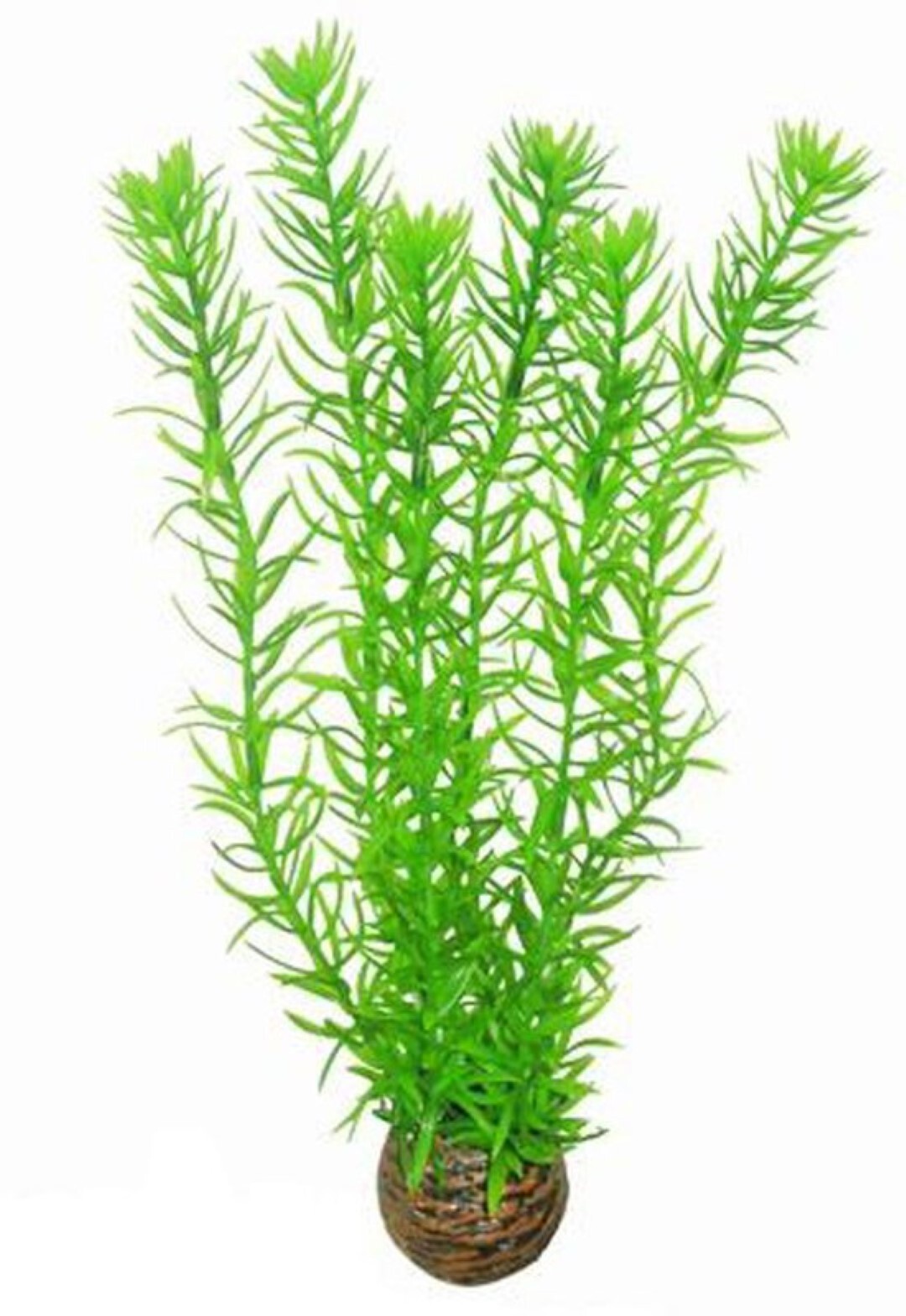 SuperFish easy plants hoog nr. 1, van plastic 30 cm - 1 ST