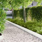 vidaXL Gazonrand 20 st 103 x 20 cm staal wit