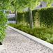 vidaXL Gazonrand 20 st 103 x 20 cm staal wit