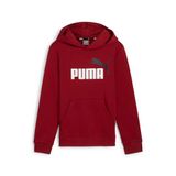 PUMA ESS+ 2 Col Big Logo Hoodie FL B