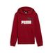 PUMA ESS+ 2 Col Big Logo Hoodie FL B