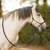 QHP Touwhalster leer Liberta Bruin - Cob