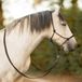 QHP Touwhalster leer Liberta Bruin - Cob