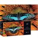 Interdruk PUZZLE - 250 STUKJES - Colourful Nature 2 Motyl - BUTTERFLY