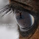 Sonic Rendezvous Head On Stone - Stony Beds (LP)