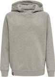 Hummel Hmlred Classic Hoodie Kids 215096