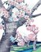 Cherry Rizzoli International Publications Cherry Blossoms in Bloom