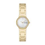 Skagen Vrouwen Analoge Quartz Horloge Met Roestvrij Stalen Band SKW3167