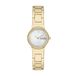 Skagen Vrouwen Analoge Quartz Horloge Met Roestvrij Stalen Band SKW3167