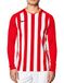 Nike Heren Gestreept Division III Voetbalshirt met lange mouwen
