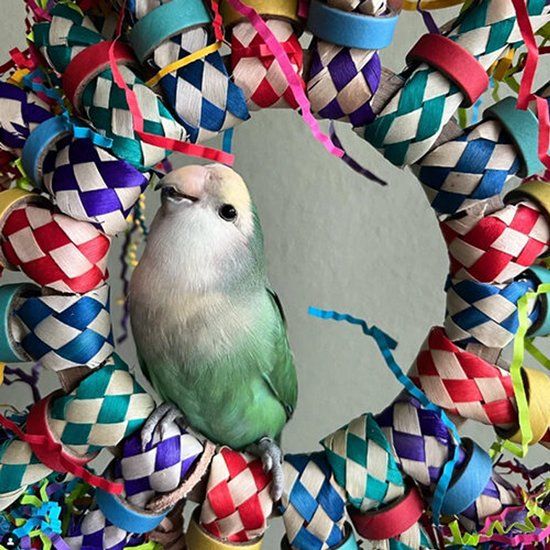 Petlala Crinkle Fun Sun Vogel Klimspeelgoed Hangspeelgoed Stro One size