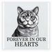Bellatio Decorations Herdenking cadeau tegel kattenliefhebber - Britse Korthaar kat/poes - zwart/wit - keramiek - 15 cm