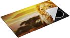Chefcare Inductie Beschermer Leeuw - Leeuwenkop - 89,6x51,6 cm - Multicolor