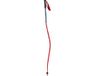 Swix World Cup Pro Dh Carbon bâtons rouge 125 cm