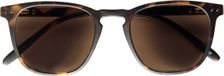 I Need You - The Frame Company Leeszonnebril INY Playa G60400 havanna +1.00