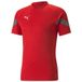 PUMA Teamfinal Trainingspullover voor heren