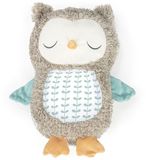 Ingenuity Peluche hibou sons douillets