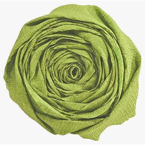 Clairefontaine 903055C Crêpepapier - 10 vellen - Mosgroen