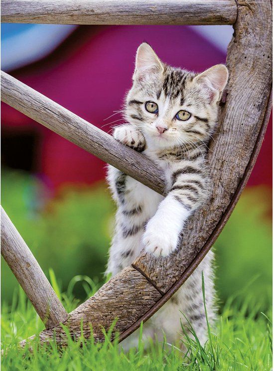 Ravensburger Puzzel 2 x 500 Stukjes Dieren