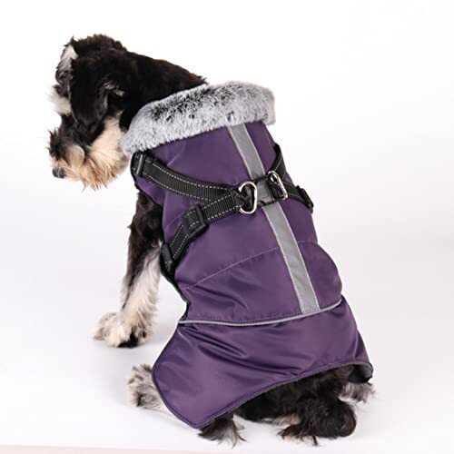 JRKJ Winter hondenjas met harnas waterdichte huisdier jas jas outfit voor kleine medium honden