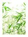 Komar Muurafbeelding | Bamboo Leaves | Poster, foto, woonkamer, slaapkamer, decoratie, kunstdruk | zonder lijst | P060-30x40 | Maat: 30 x 40 cm