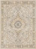 Surya LLL2322-679 Tapijt Binnen Rechthoek Polyester Ivoor, Geel, Beige, Bruin, Houtskool, Blauw