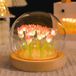 Merkloos Decoratieve tulpenverlichting met 20 oplichtende tulpen - Romantische sfeerverlichting voor slaapkamer, woonkamer en tafel